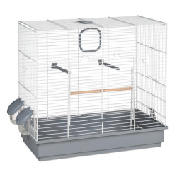 Descubre Jaula 613 Pájaros en la sección Jaulas para pájaros