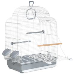 Descubre Jaula 647 Pájaros en la sección Jaulas para pájaros